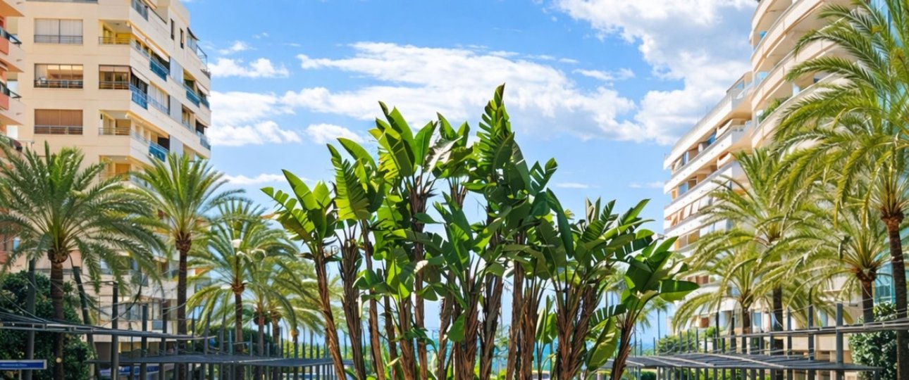 Rynek wtórny - apartment - Marbella - Marbella Centro