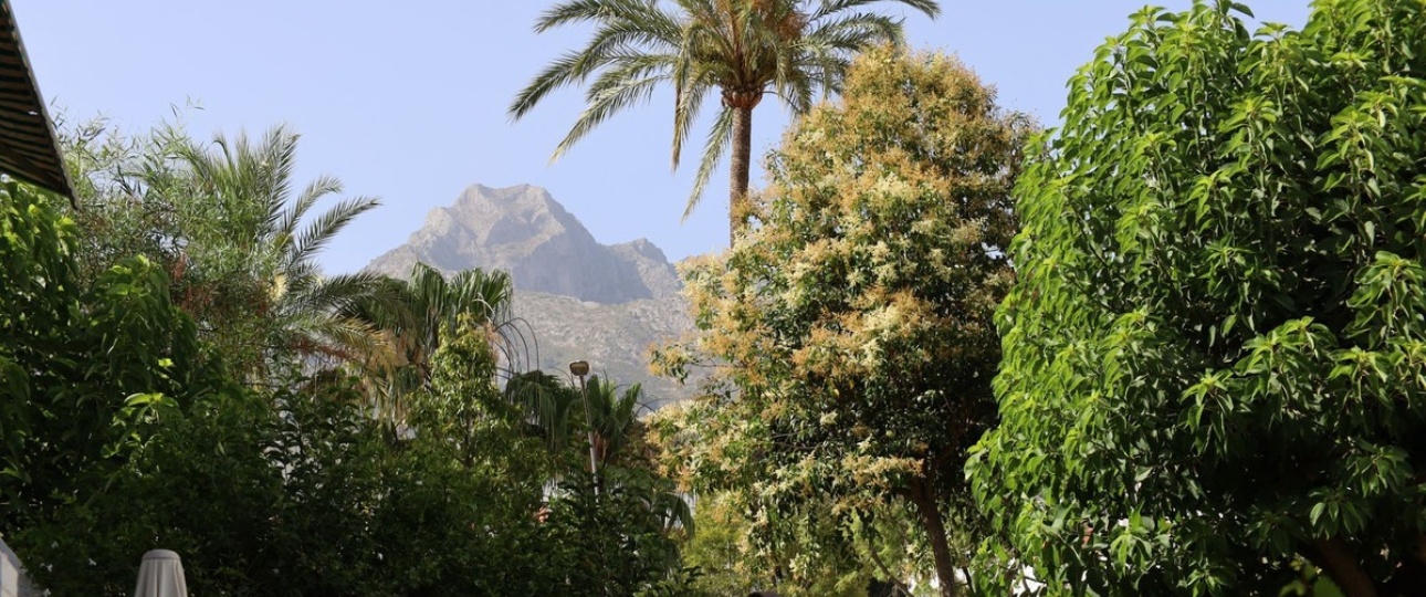 Rynek wtórny - apartment - Marbella - Marbella Centro