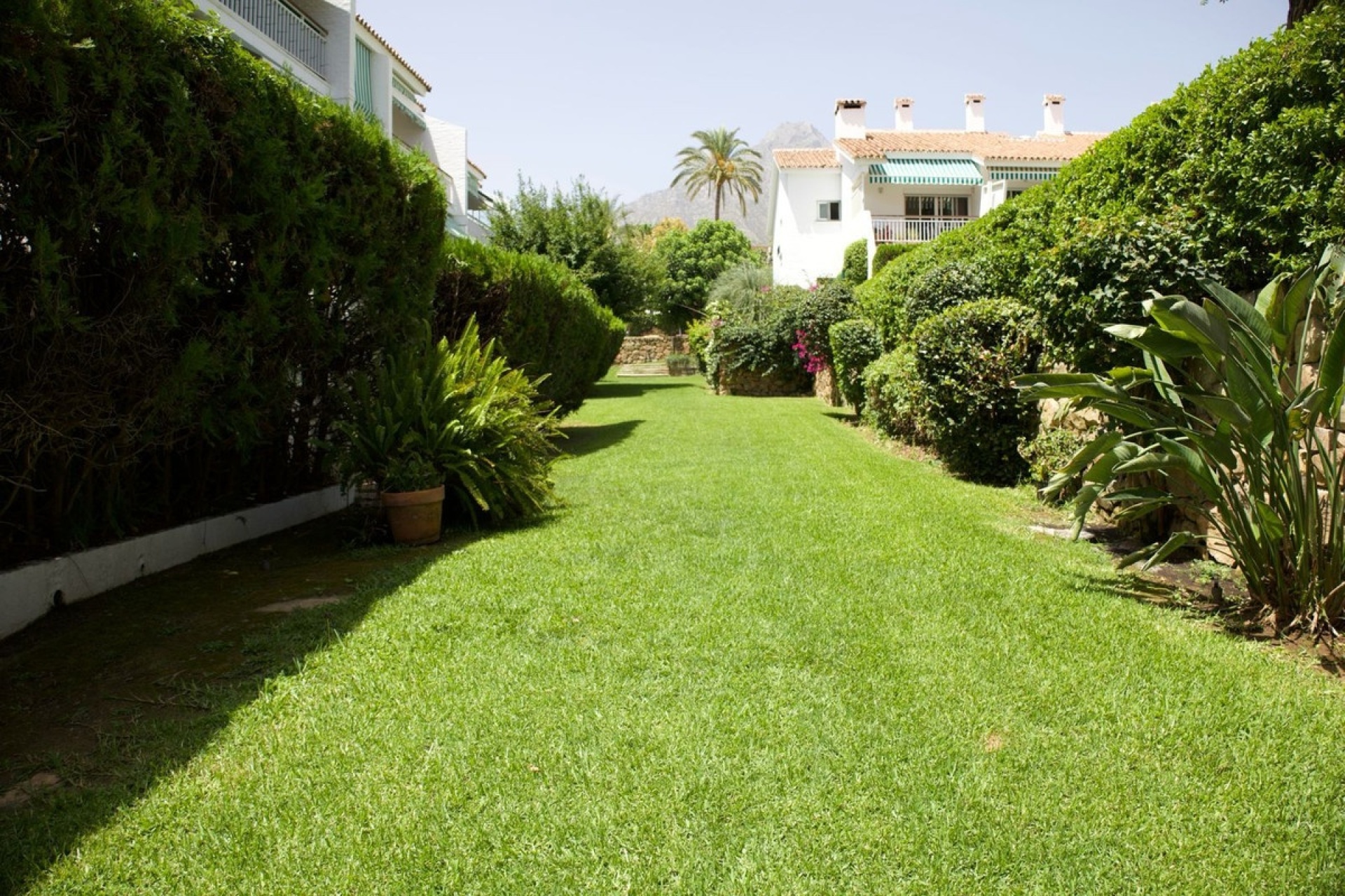 Rynek wtórny - apartment - Marbella - Marbella Centro