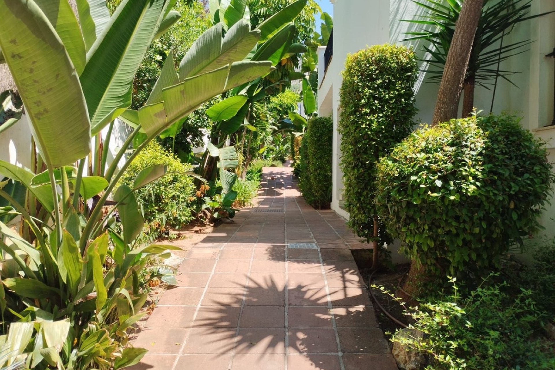 Rynek wtórny - apartment - Marbella - Marbella Centro