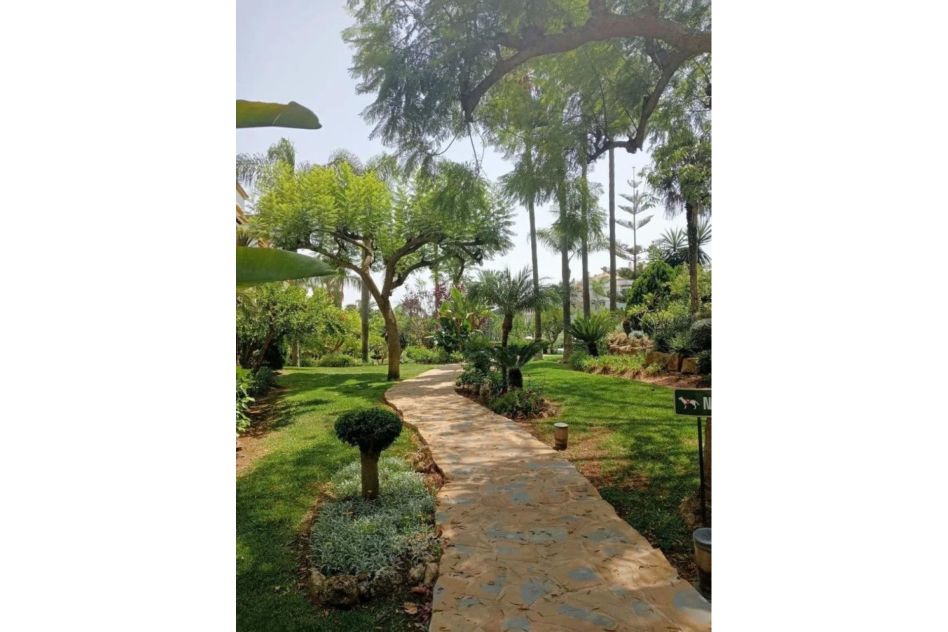 Rynek wtórny - apartment - Marbella - Marbella Centro