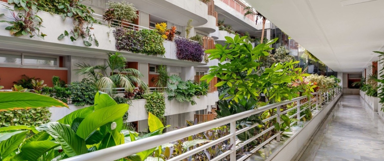 Rynek wtórny - apartment - Marbella - Marbella Centro