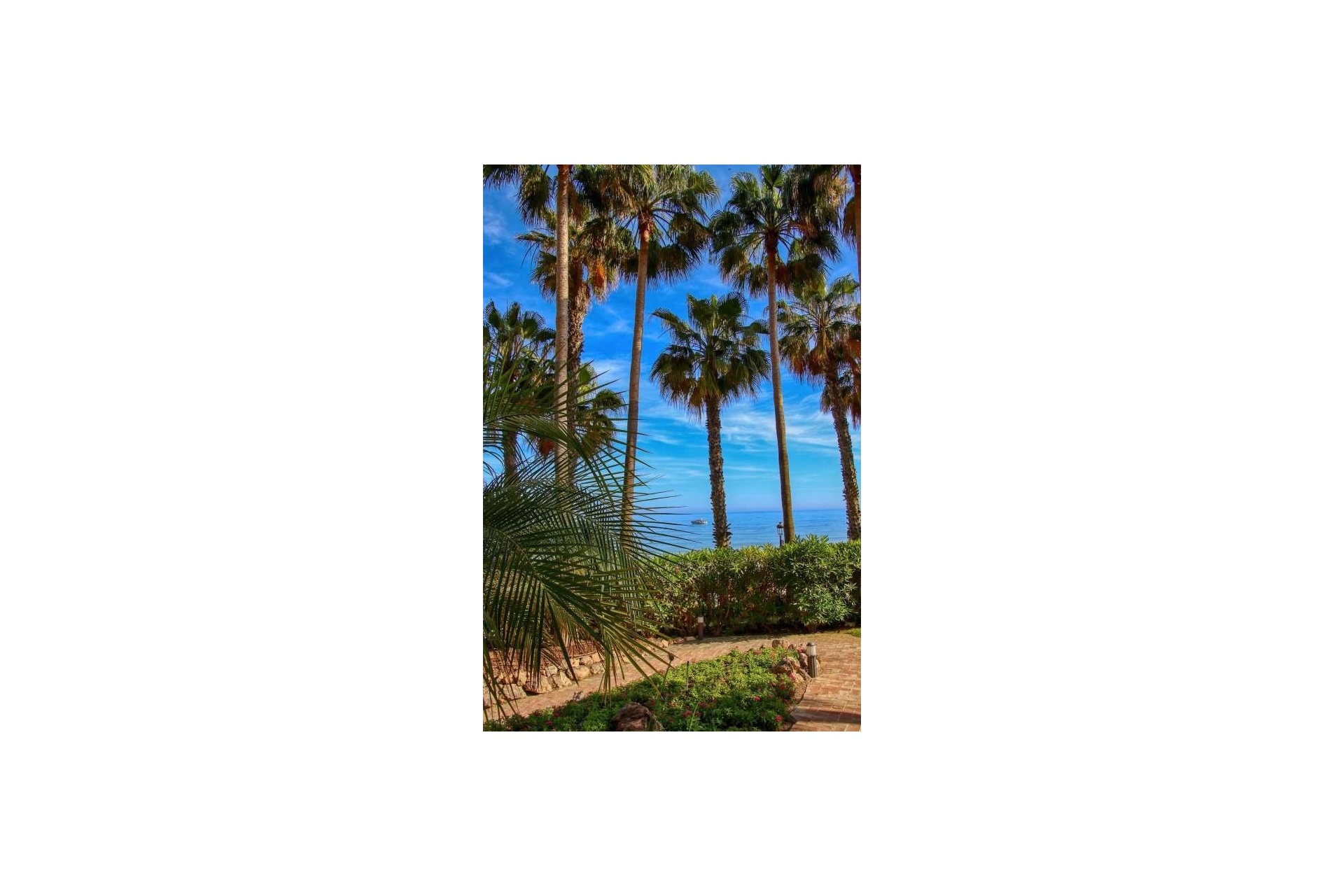 Rynek wtórny - apartment - Marbella - Marbella Centro