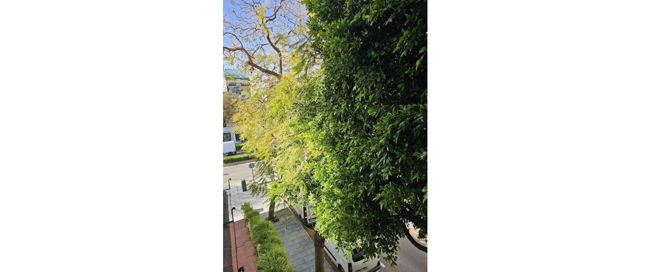Rynek wtórny - apartment - Marbella - Marbella Centro