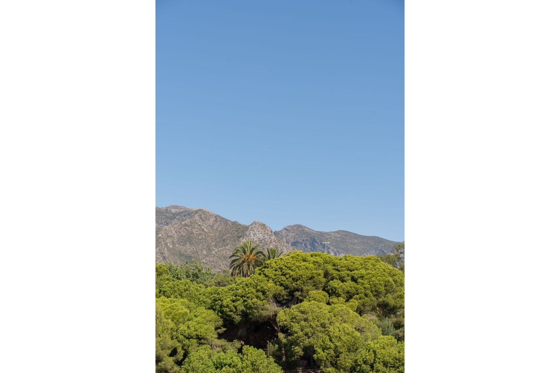 Rynek wtórny - apartment - Marbella - Marbella Centro