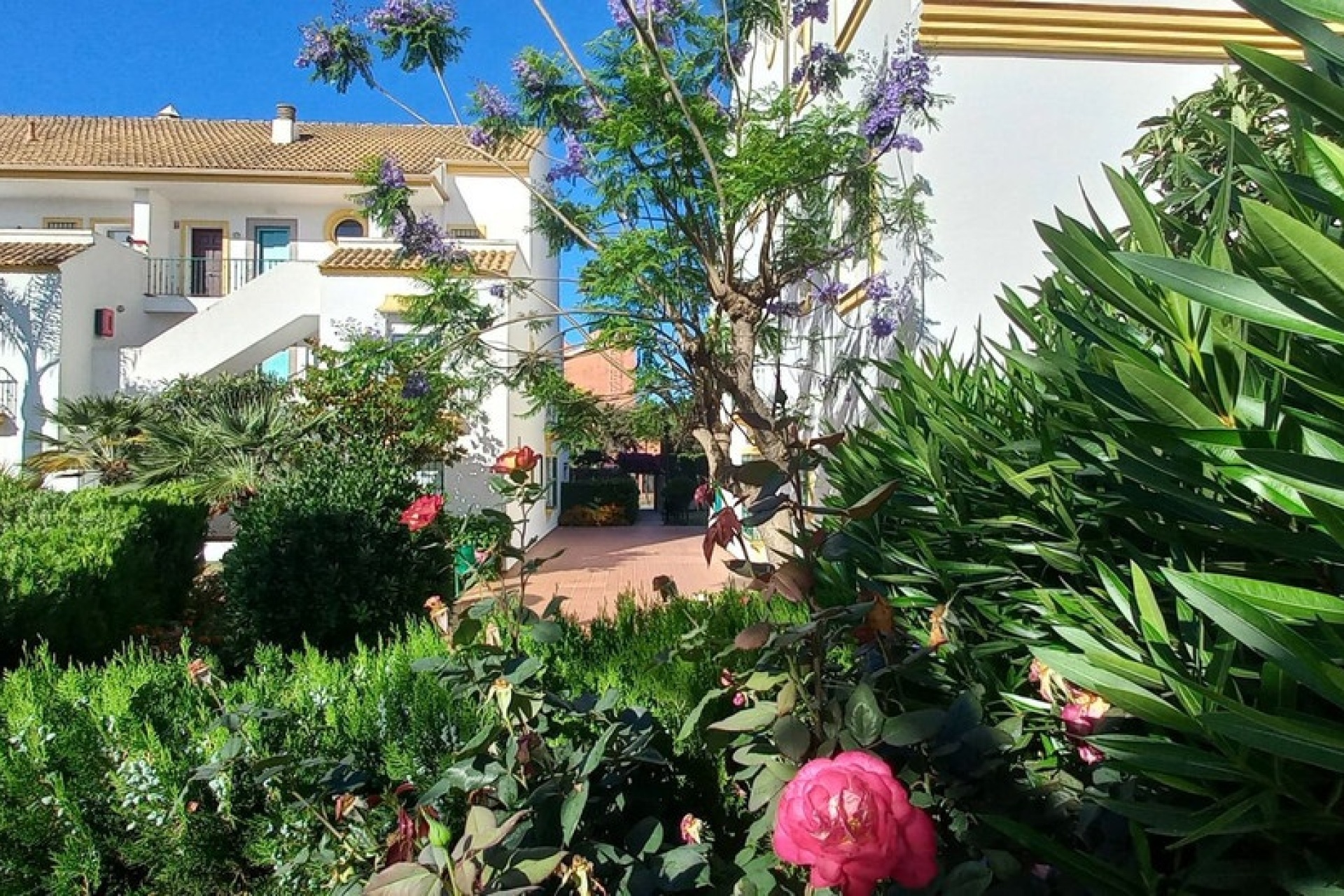 Rynek wtórny - apartment - Marbella - Marbesa