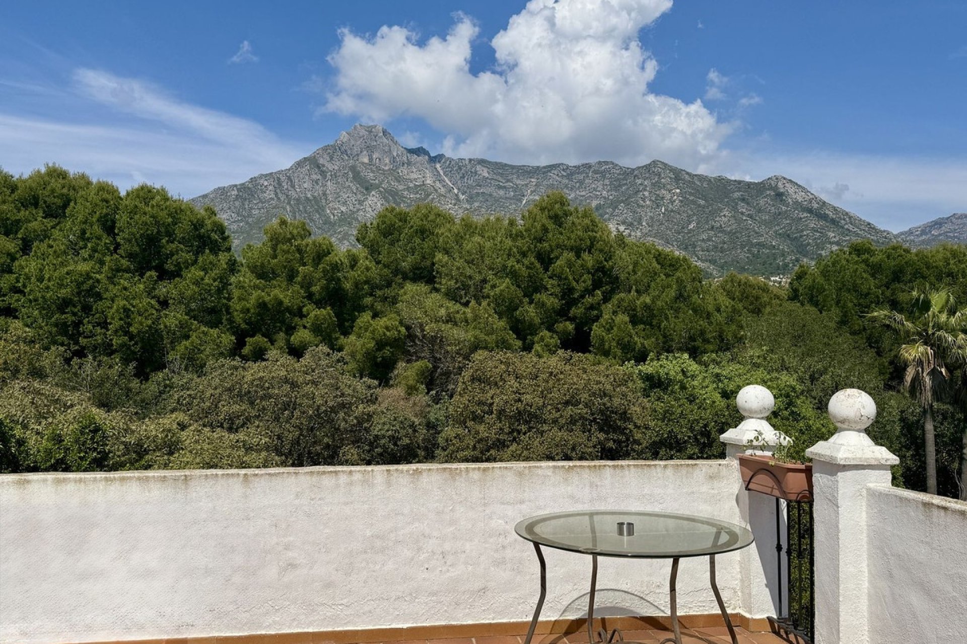 Rynek wtórny - apartment - Marbella - Nagüeles