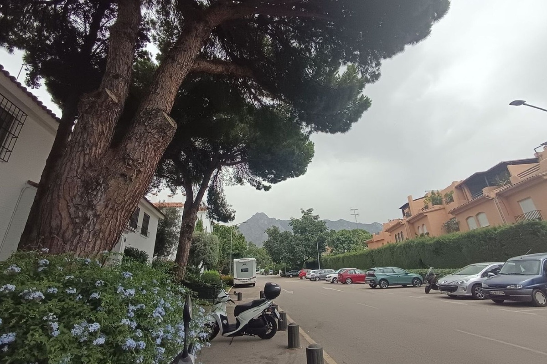 Rynek wtórny - apartment - Marbella - Nagüeles