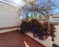 Rynek wtórny - apartment - Marbella - Nagüeles