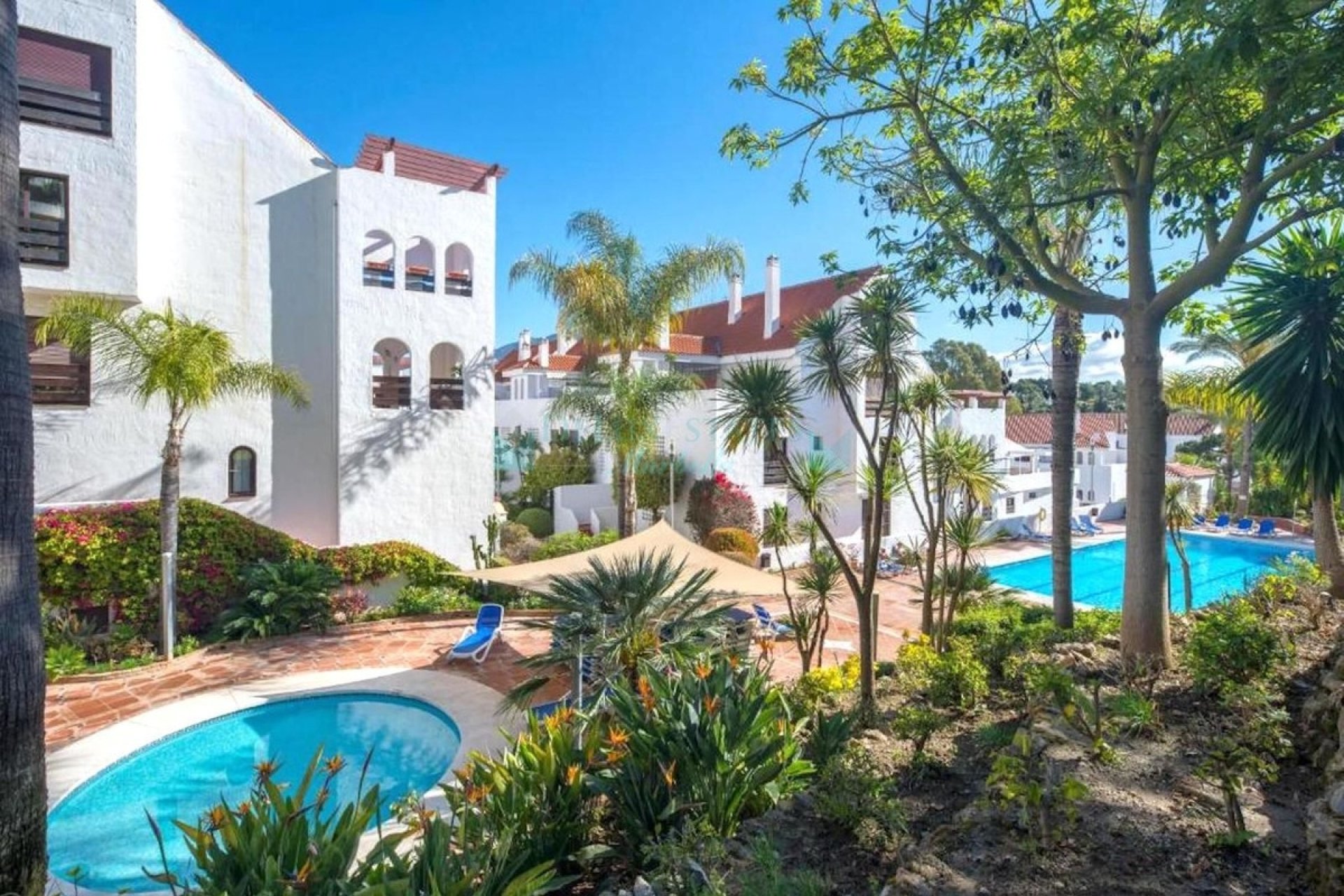 Rynek wtórny - apartment - Marbella - Nueva Andalucía