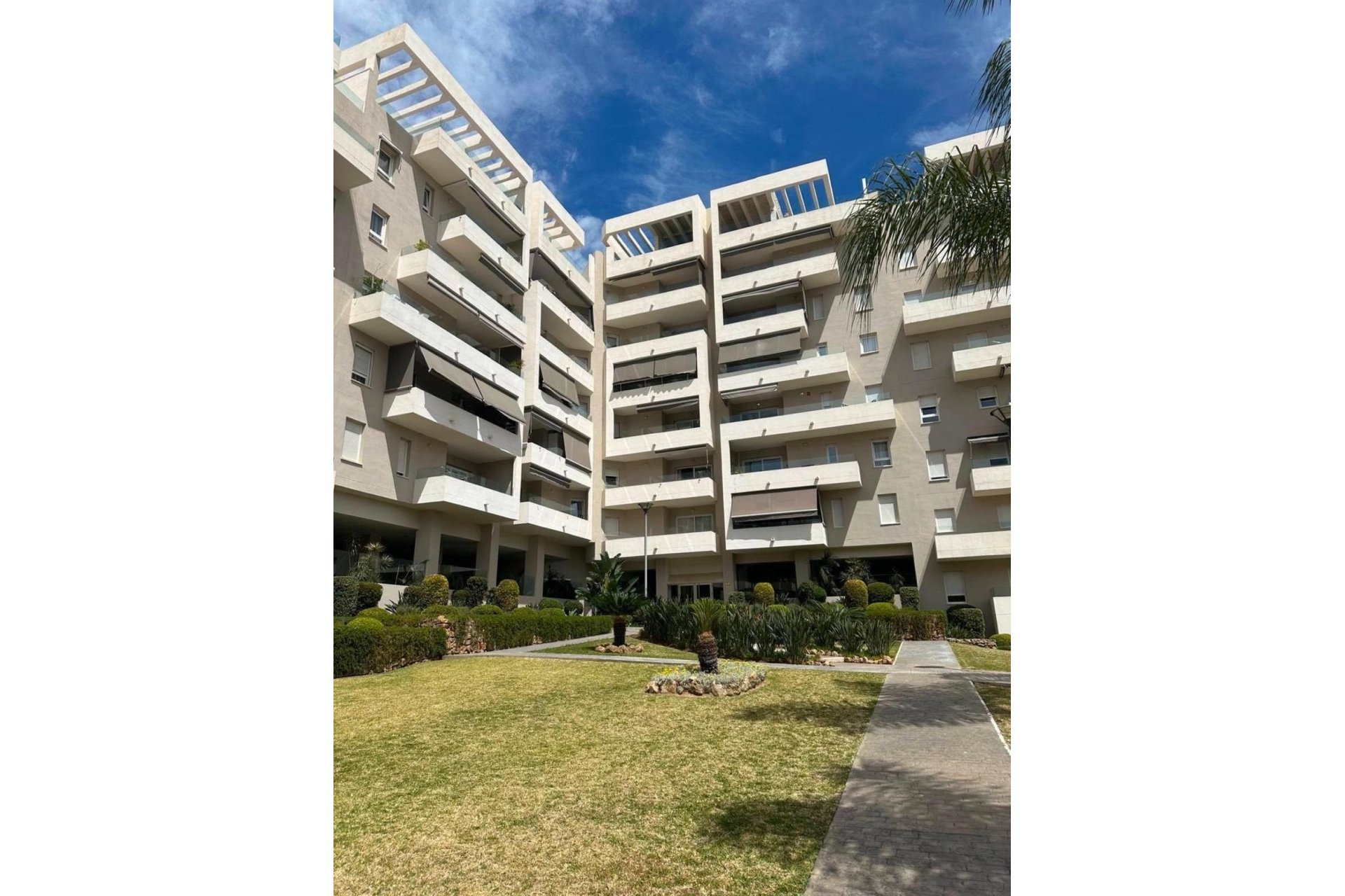 Rynek wtórny - apartment - Marbella - Nueva Andalucía