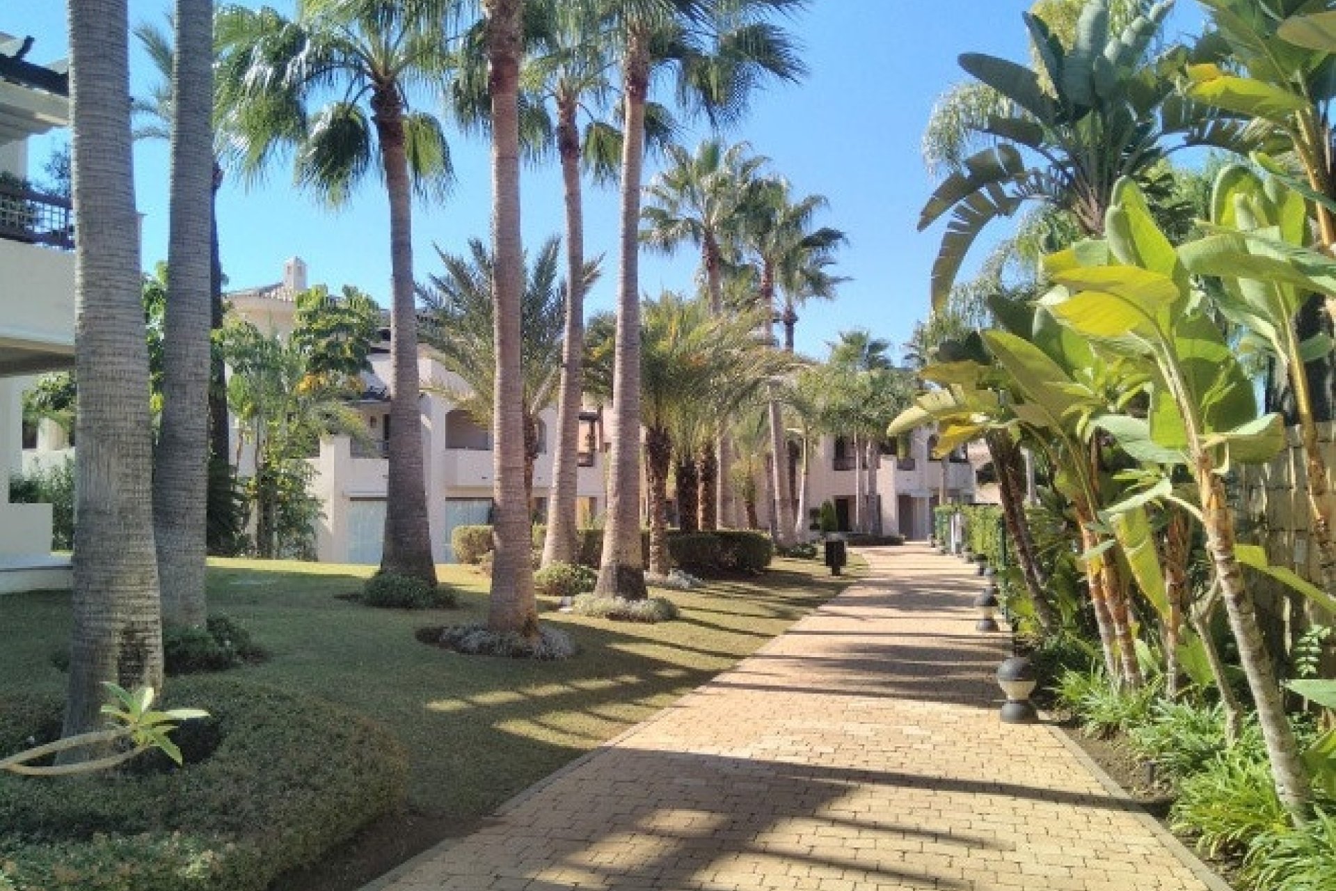 Rynek wtórny - apartment - Marbella - Nueva Andalucía