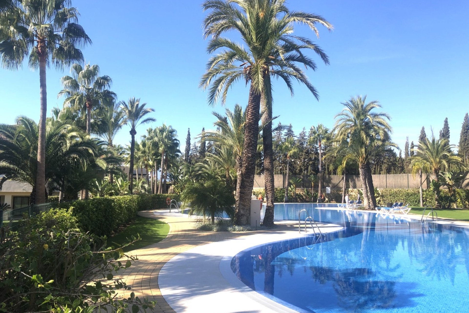 Rynek wtórny - apartment - Marbella - Nueva Andalucía