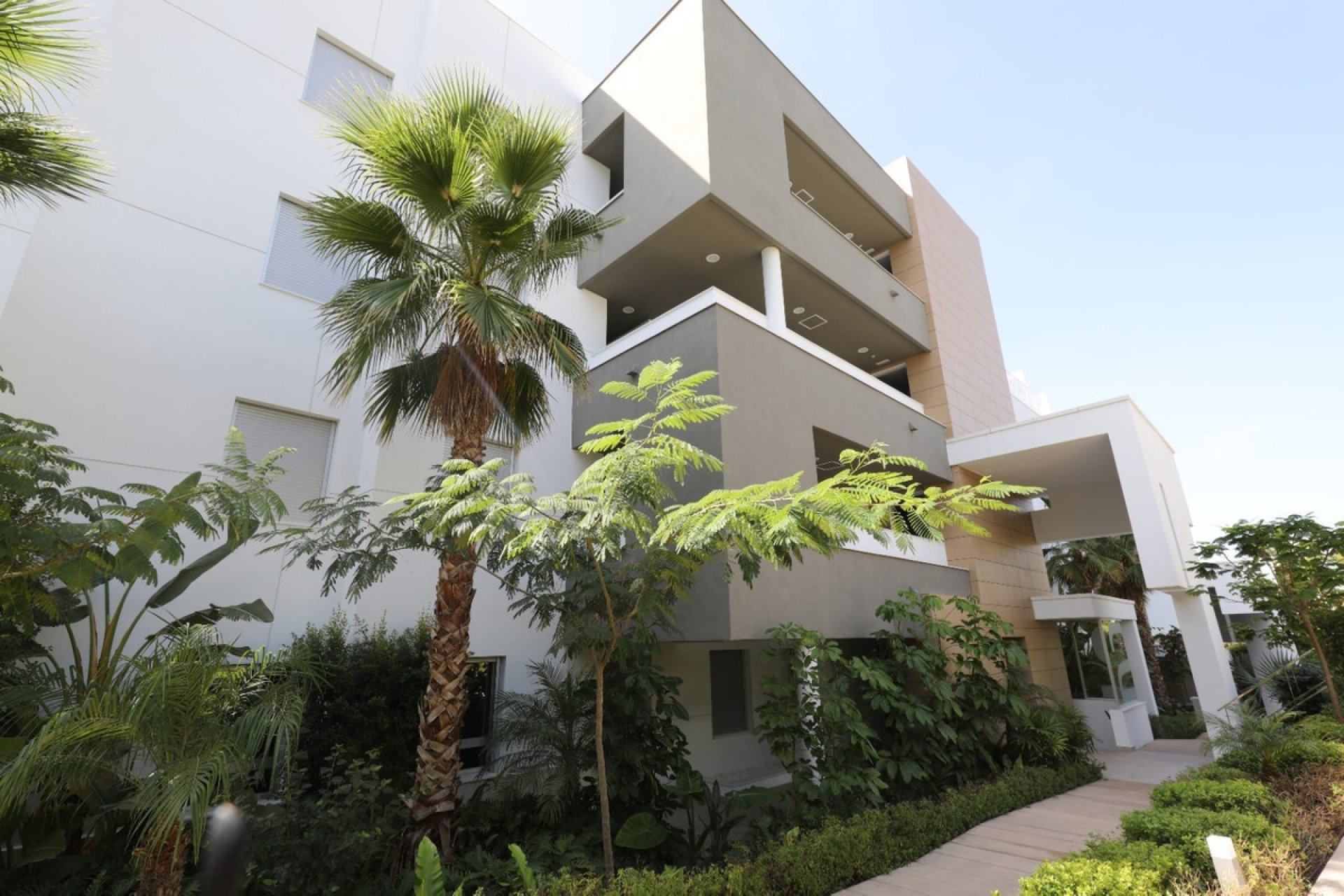 Rynek wtórny - apartment - Marbella - Nueva Andalucía