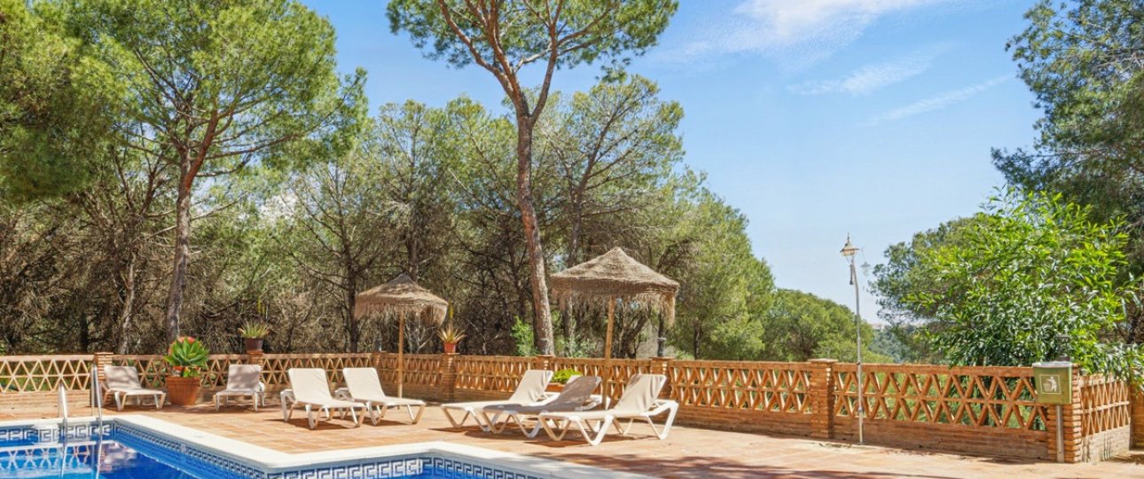 Rynek wtórny - apartment - Marbella - Nueva Andalucía