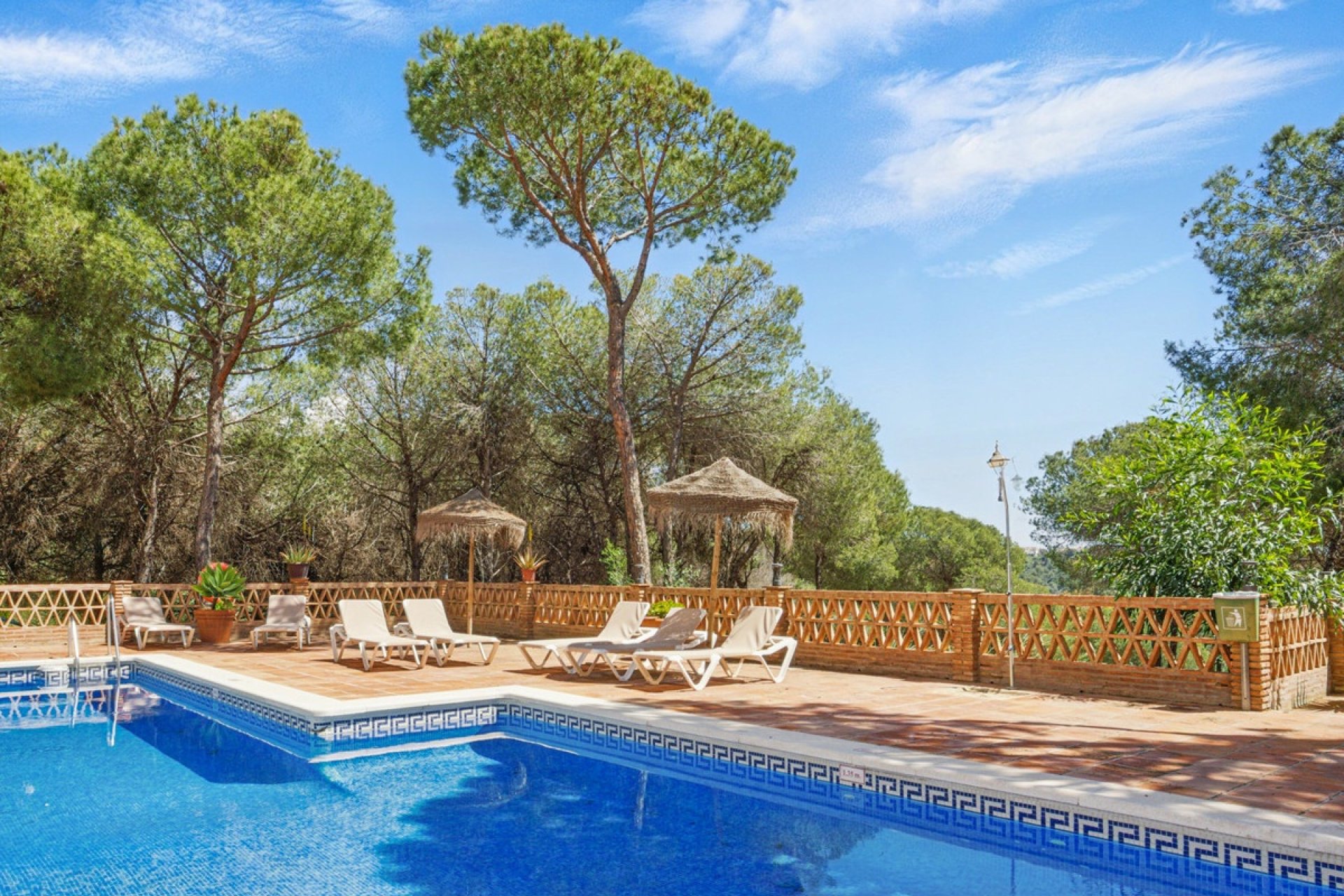 Rynek wtórny - apartment - Marbella - Nueva Andalucía