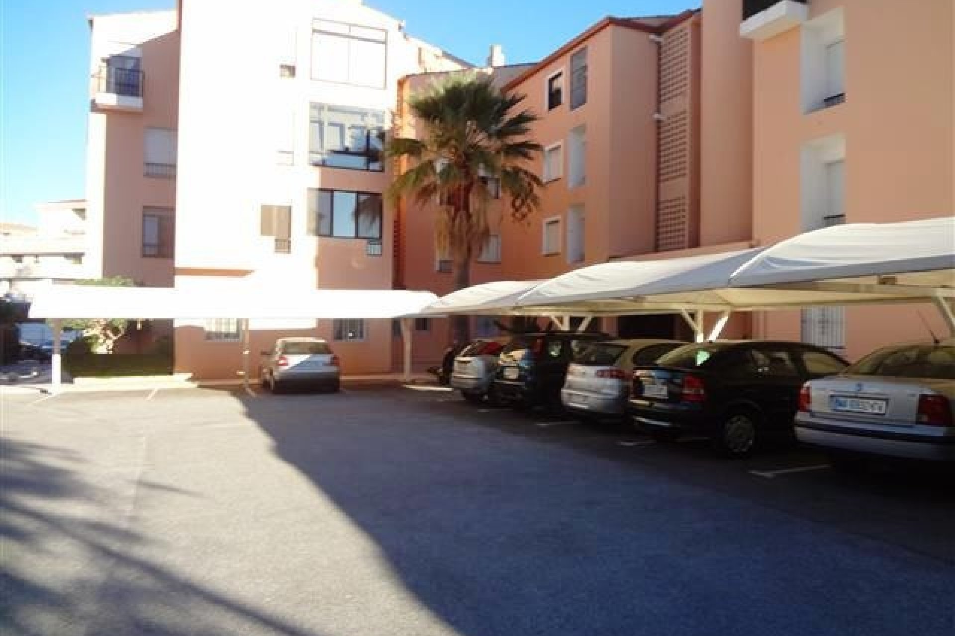 Rynek wtórny - apartment - Marbella - Nueva Andalucía