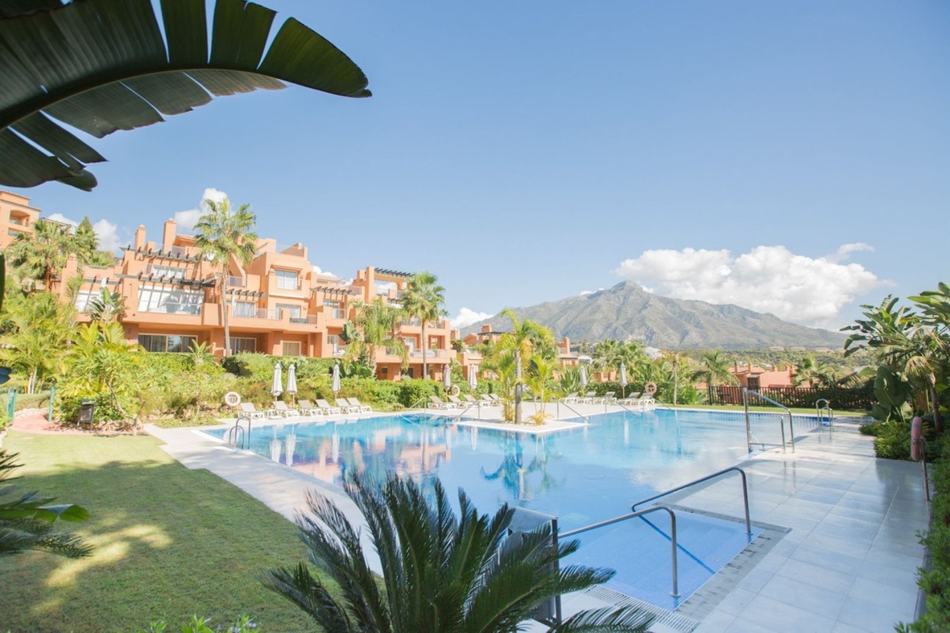 Rynek wtórny - apartment - Marbella - Nueva Andalucía