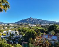 Rynek wtórny - apartment - Marbella - Nueva Andalucía
