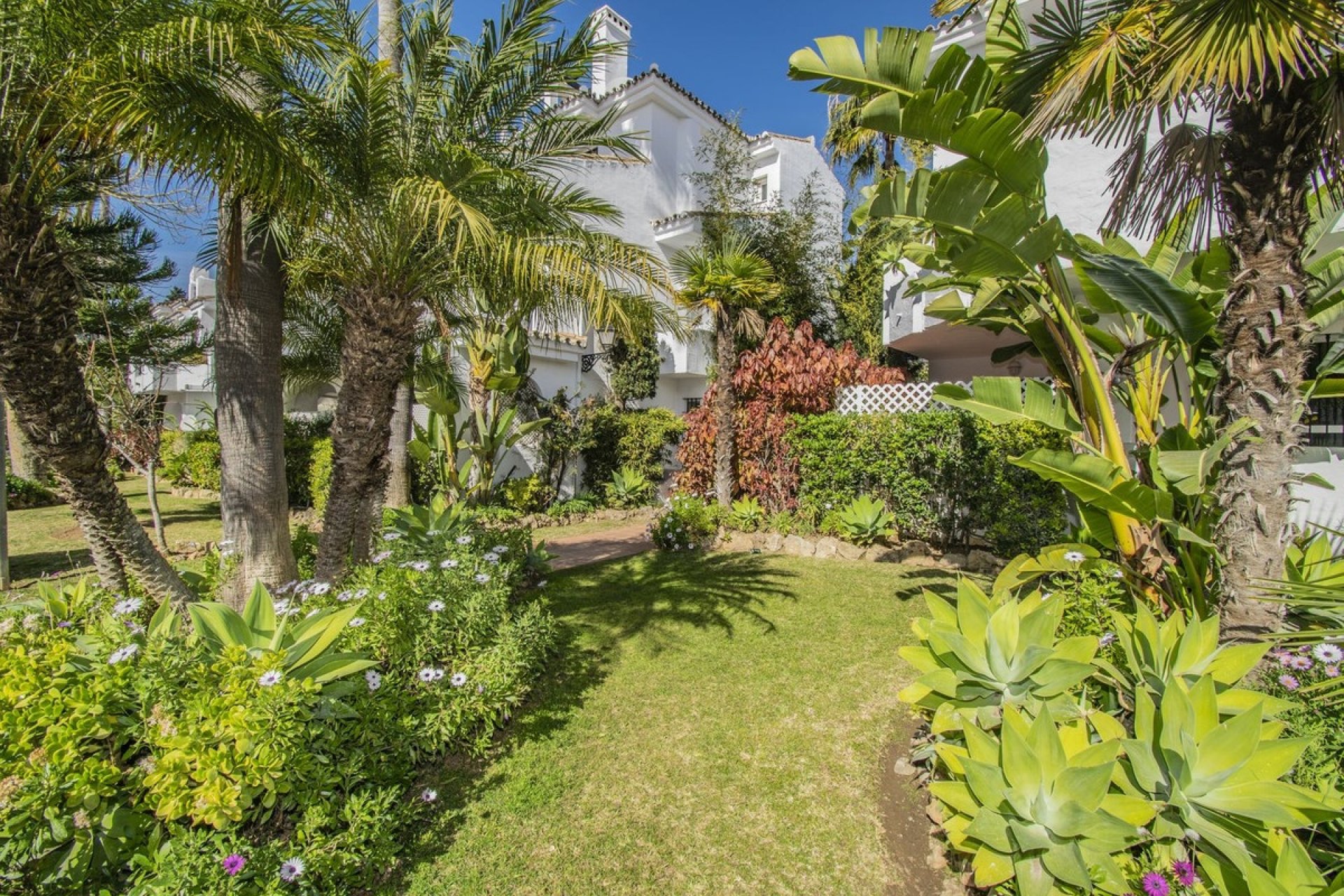 Rynek wtórny - apartment - Marbella - Nueva Andalucía