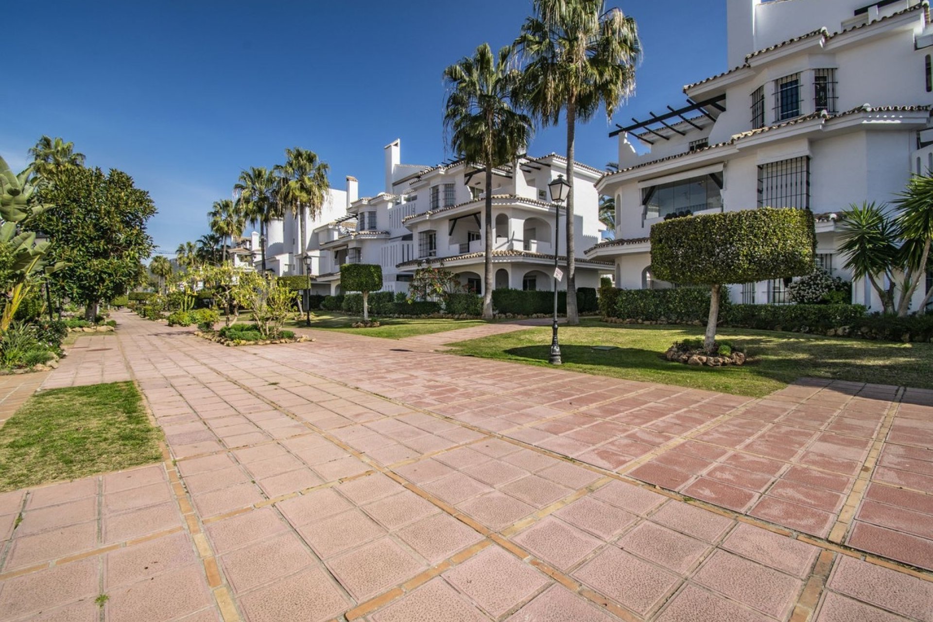 Rynek wtórny - apartment - Marbella - Nueva Andalucía