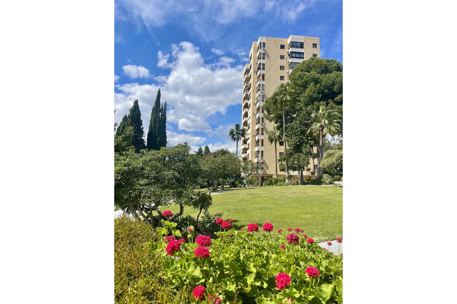 Rynek wtórny - apartment - Marbella - Nueva Andalucía