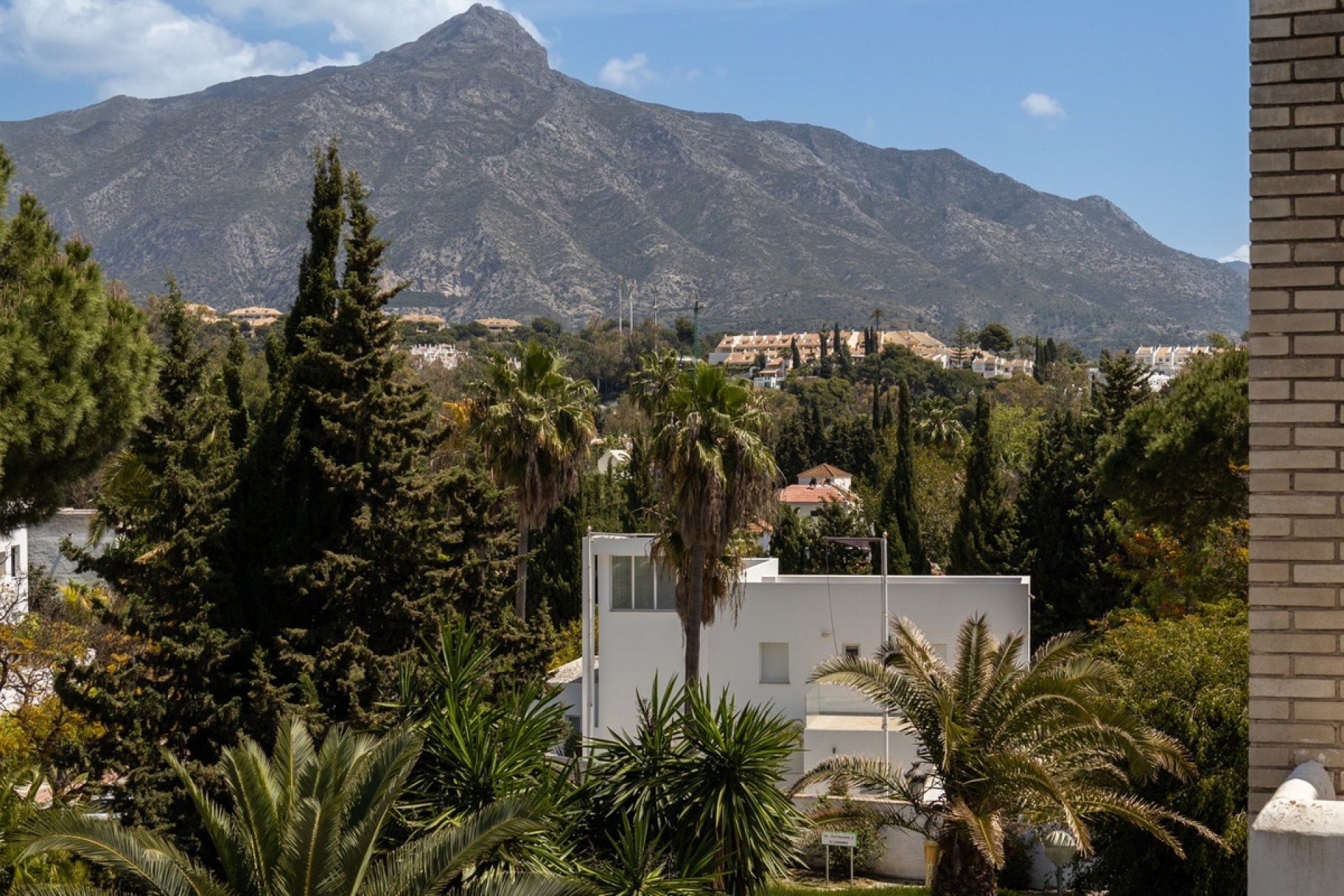 Rynek wtórny - apartment - Marbella - Nueva Andalucía