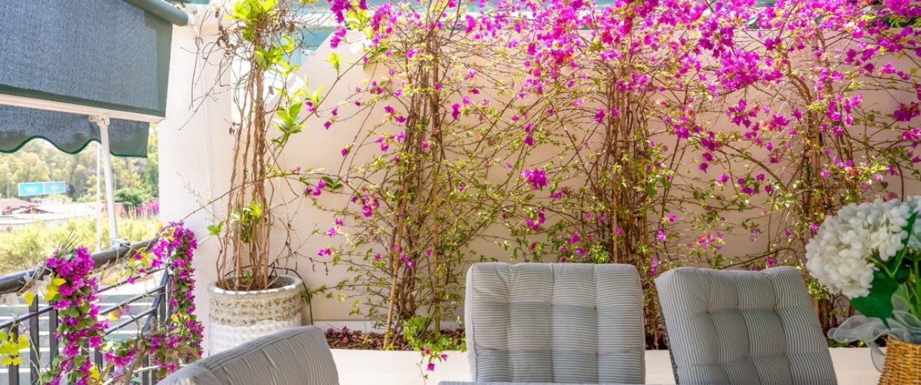 Rynek wtórny - apartment - Marbella - Nueva Andalucía