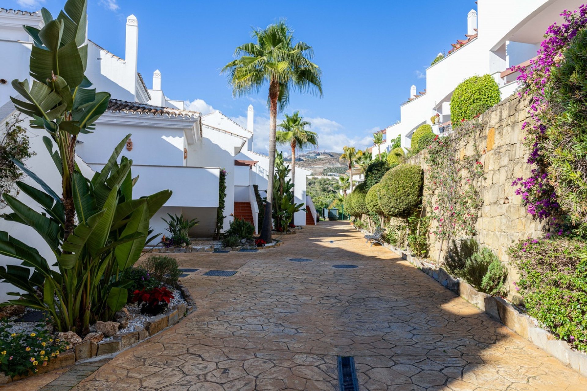 Rynek wtórny - apartment - Marbella - Nueva Andalucía