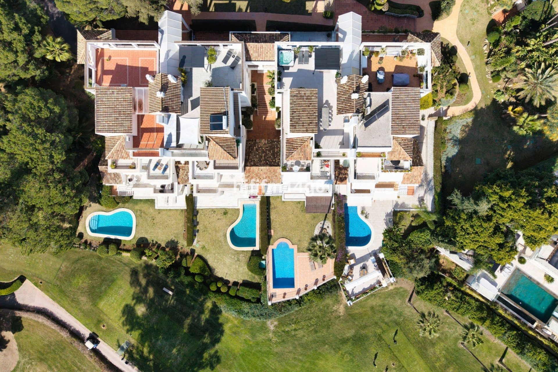 Rynek wtórny - apartment - Marbella - Nueva Andalucía