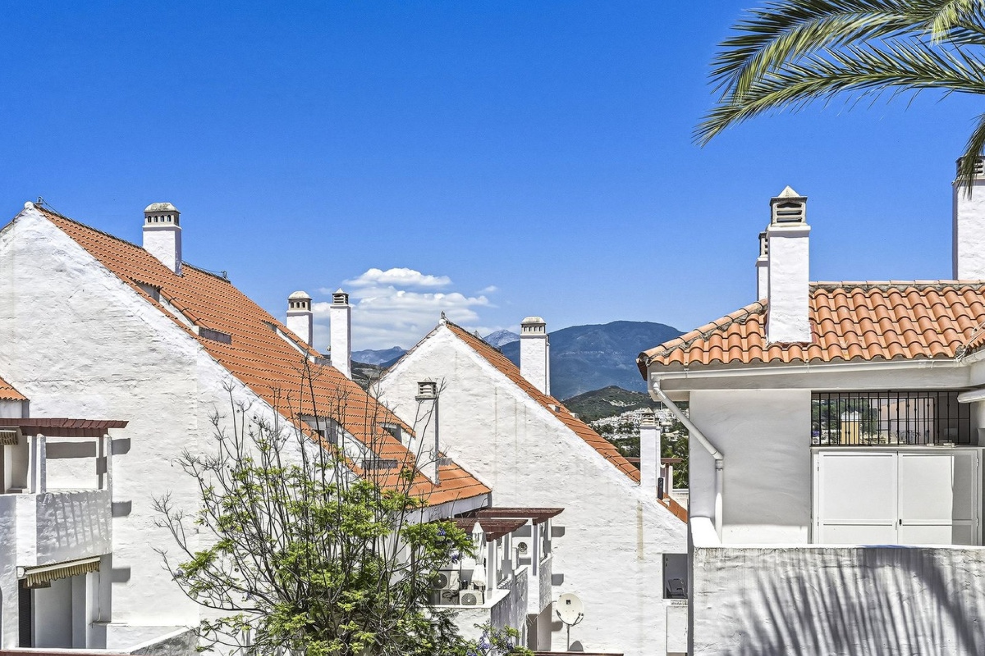 Rynek wtórny - apartment - Marbella - Nueva Andalucía