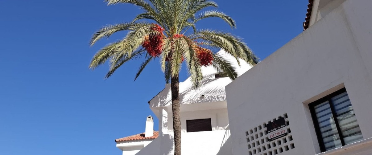 Rynek wtórny - apartment - Marbella - Nueva Andalucía