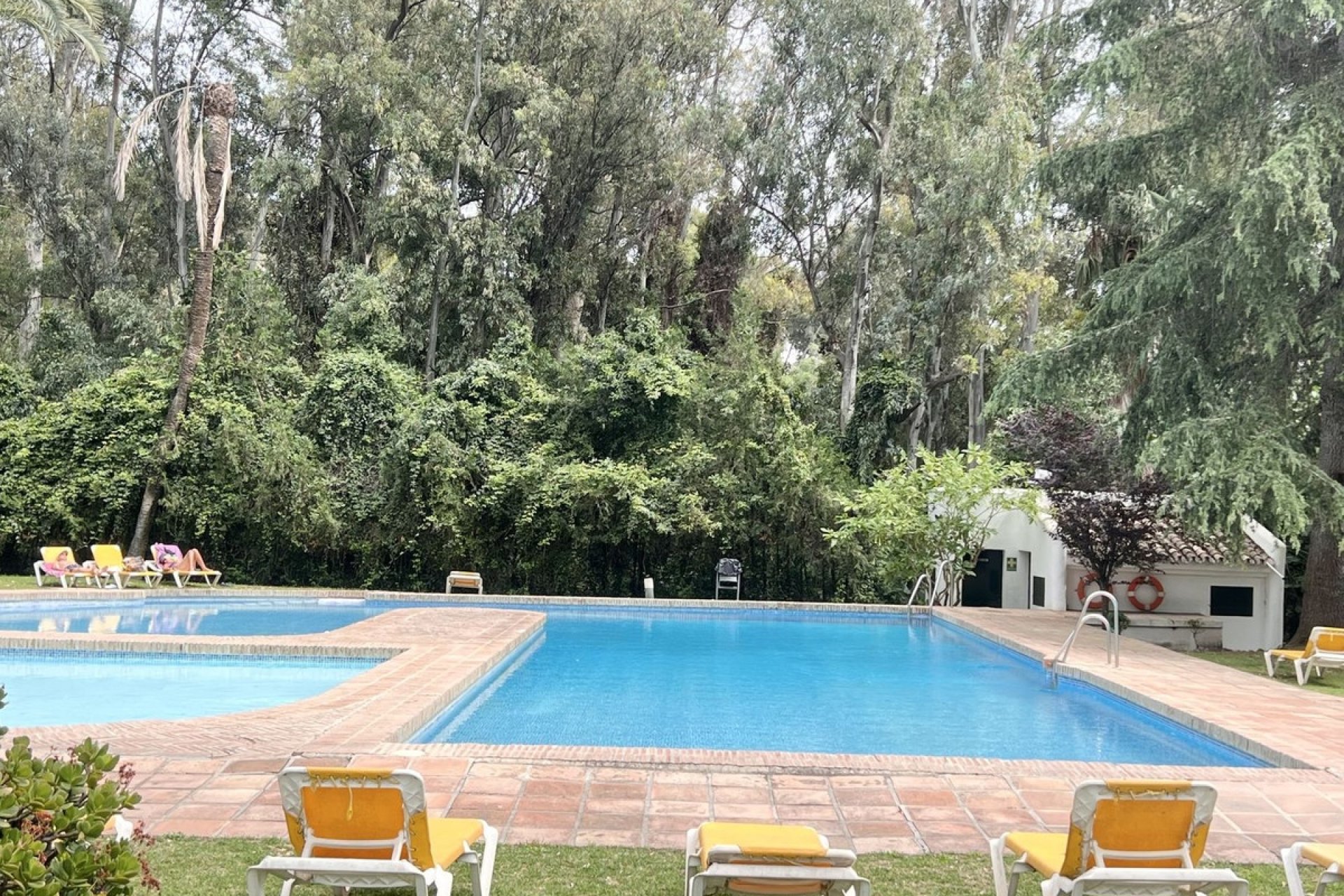 Rynek wtórny - apartment - Marbella - Nueva Andalucía