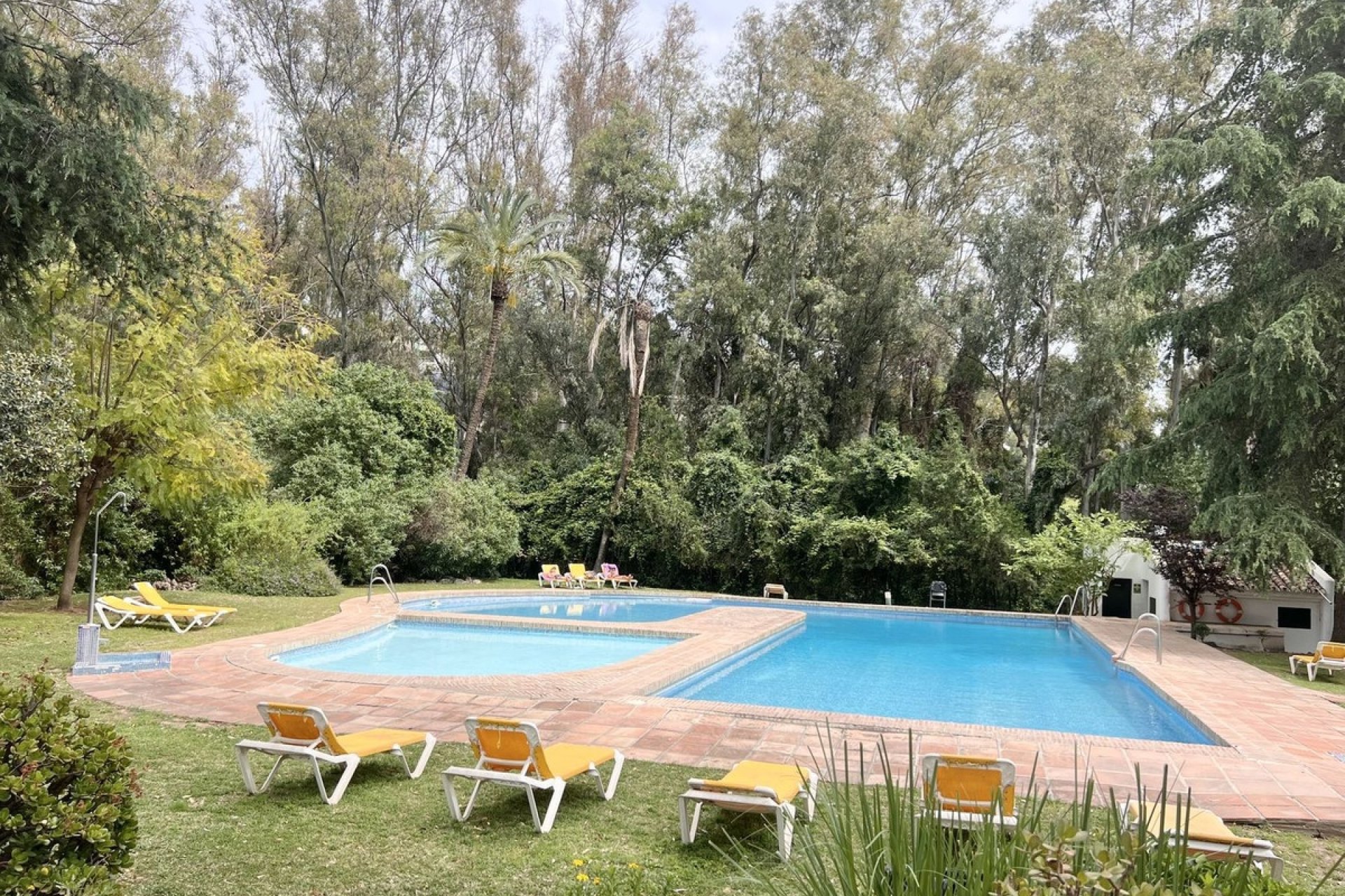 Rynek wtórny - apartment - Marbella - Nueva Andalucía