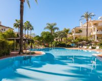 Rynek wtórny - apartment - Marbella - Nueva Andalucía