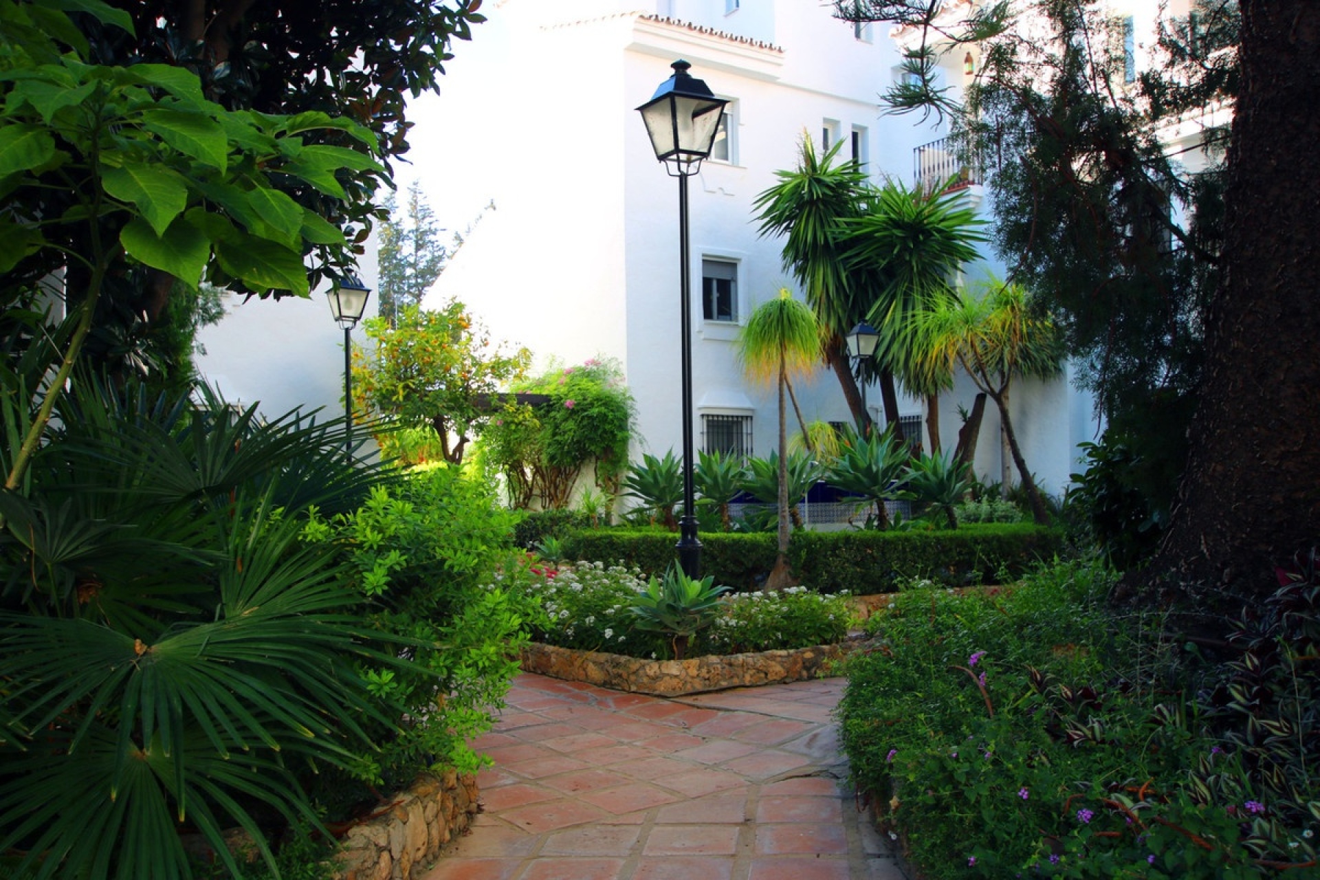 Rynek wtórny - apartment - Marbella - Nueva Andalucía
