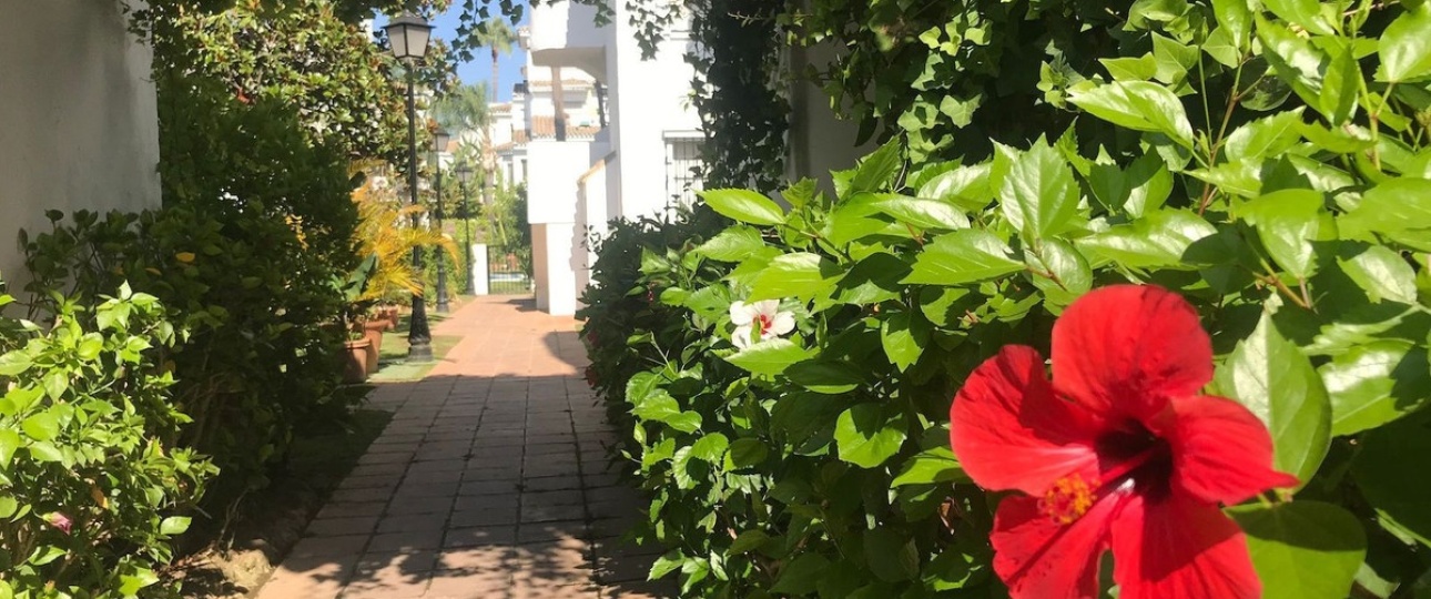 Rynek wtórny - apartment - Marbella - Nueva Andalucía
