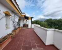 Rynek wtórny - apartment - Marbella - Nueva Andalucía