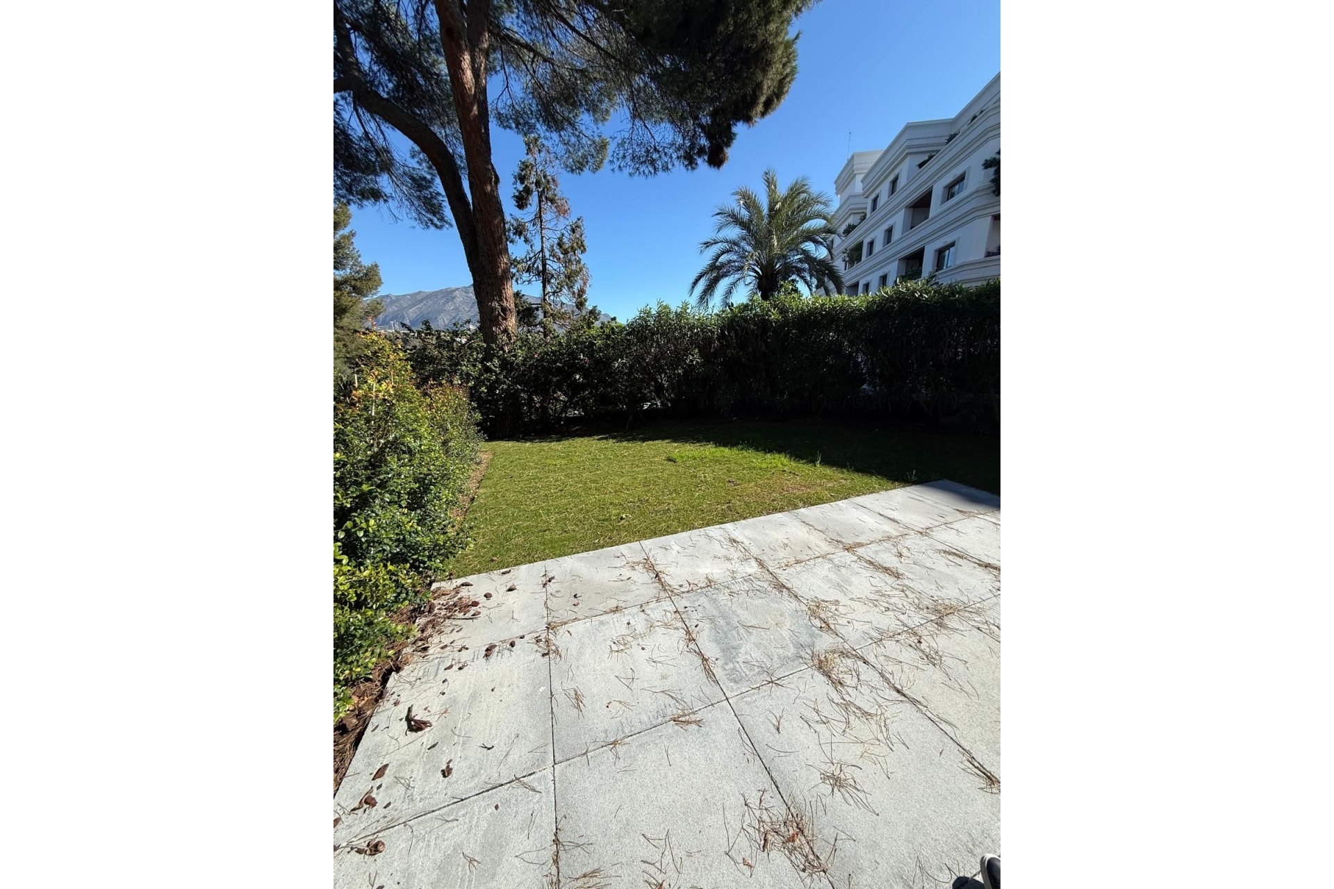 Rynek wtórny - apartment - Marbella - Nueva Andalucía