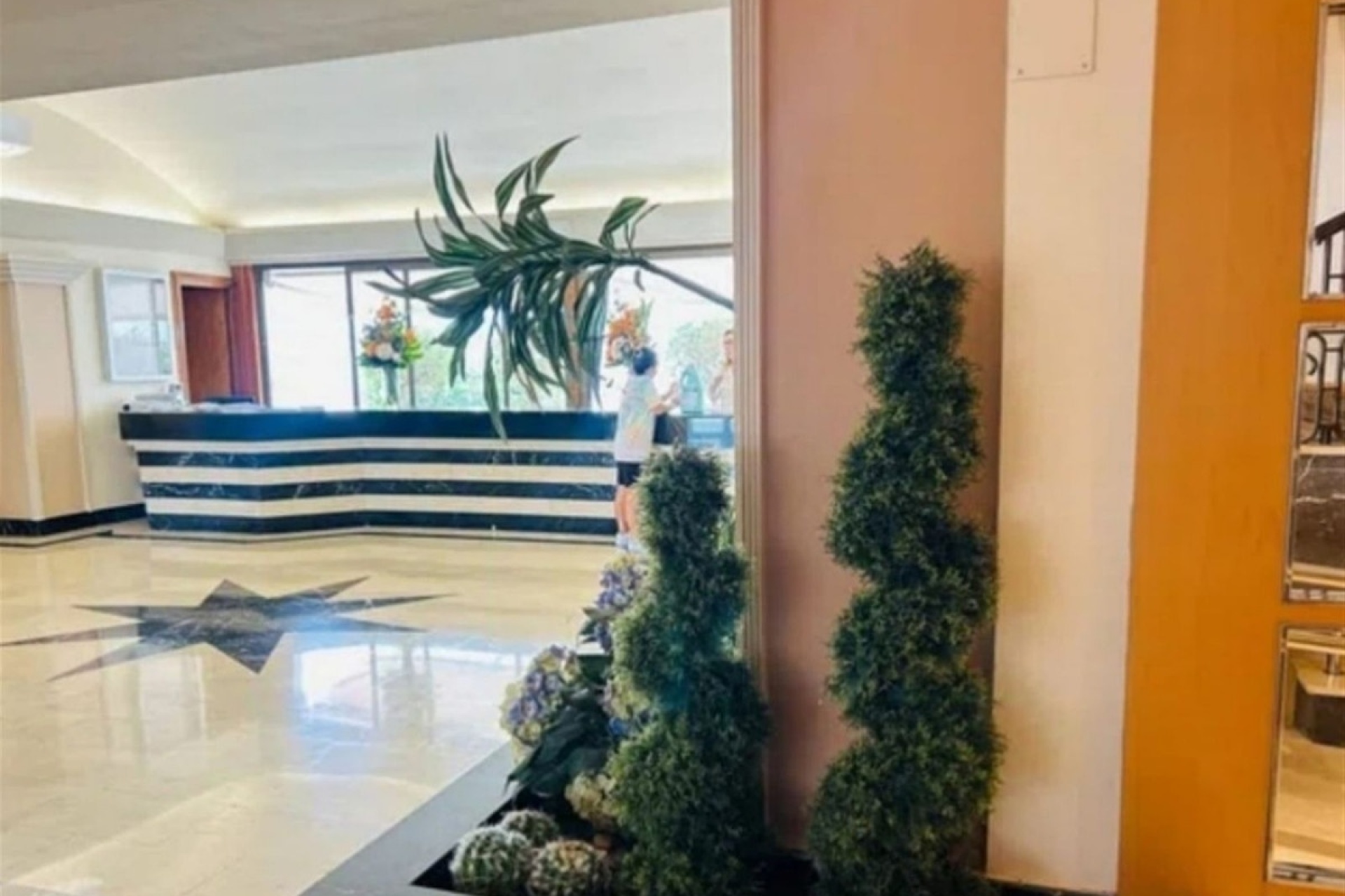 Rynek wtórny - apartment - Marbella - Nueva Andalucía
