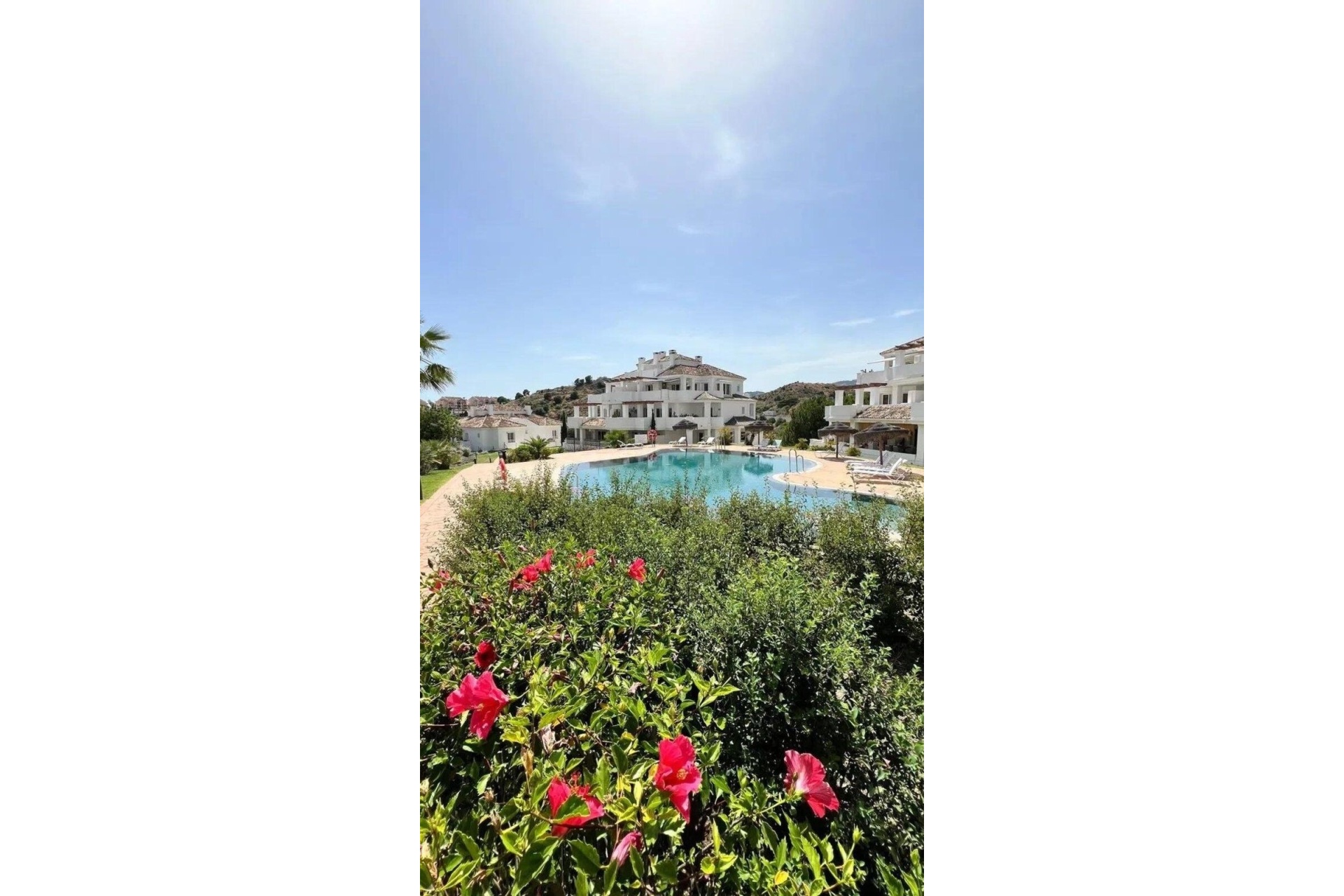 Rynek wtórny - apartment - Marbella - Nueva Andalucía