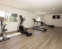 Rynek wtórny - apartment - Marbella - Nueva Andalucía