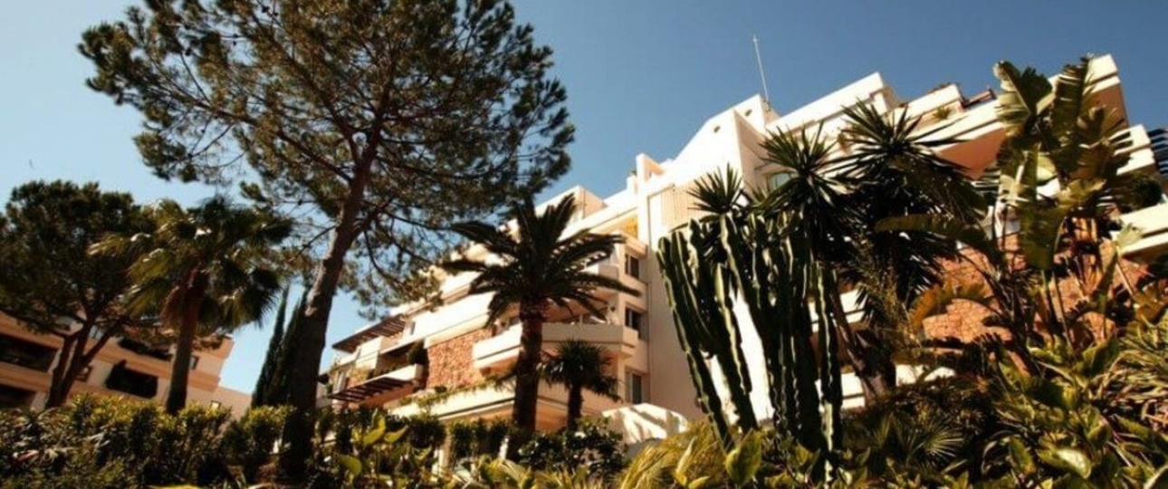 Rynek wtórny - apartment - Marbella - Nueva Andalucía