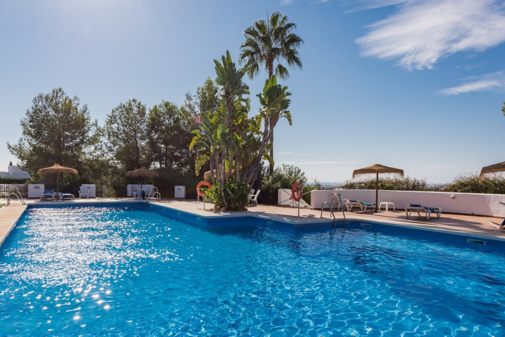 Rynek wtórny - apartment - Marbella - Nueva Andalucía