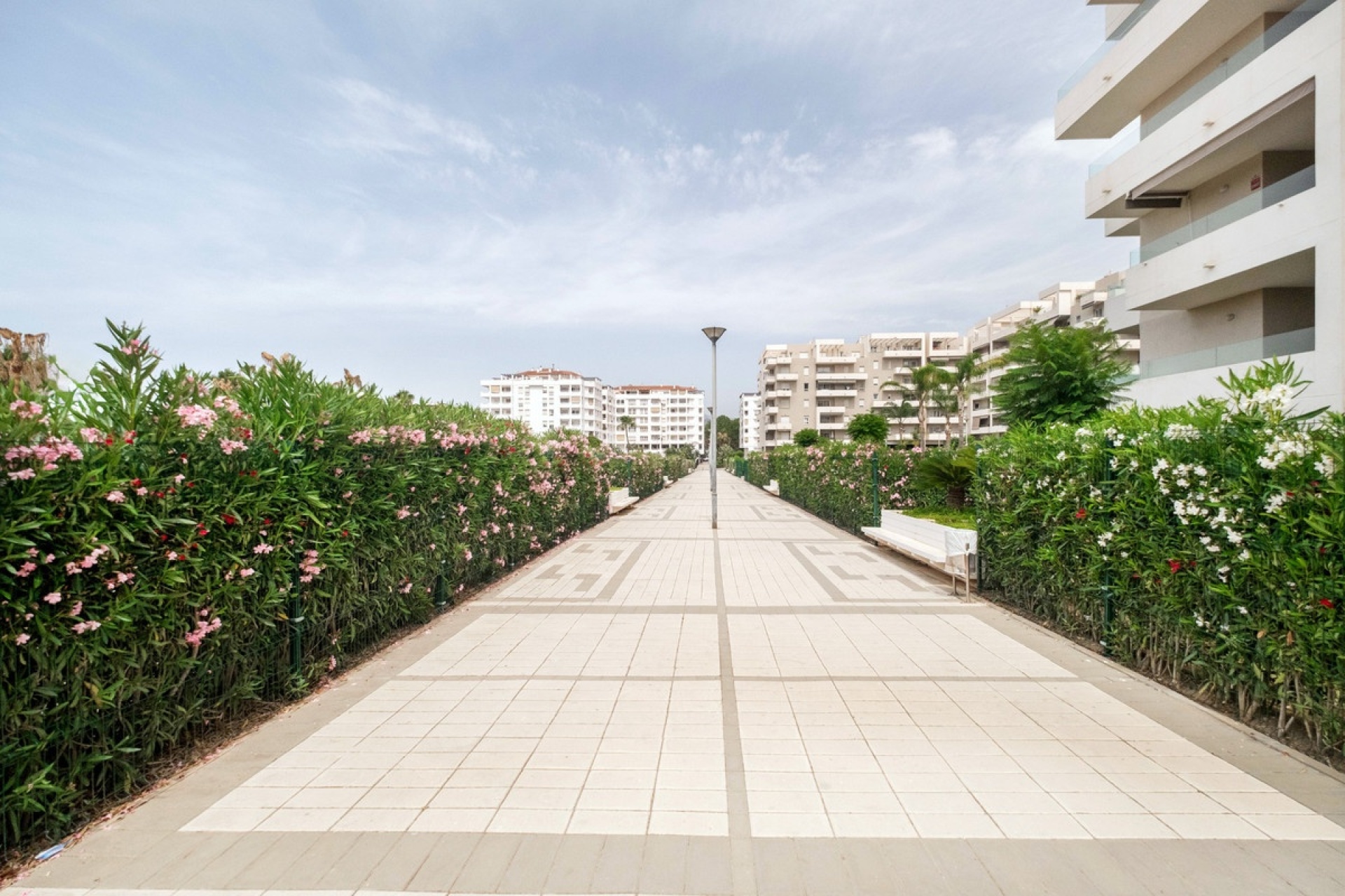 Rynek wtórny - apartment - Marbella - Nueva Andalucía