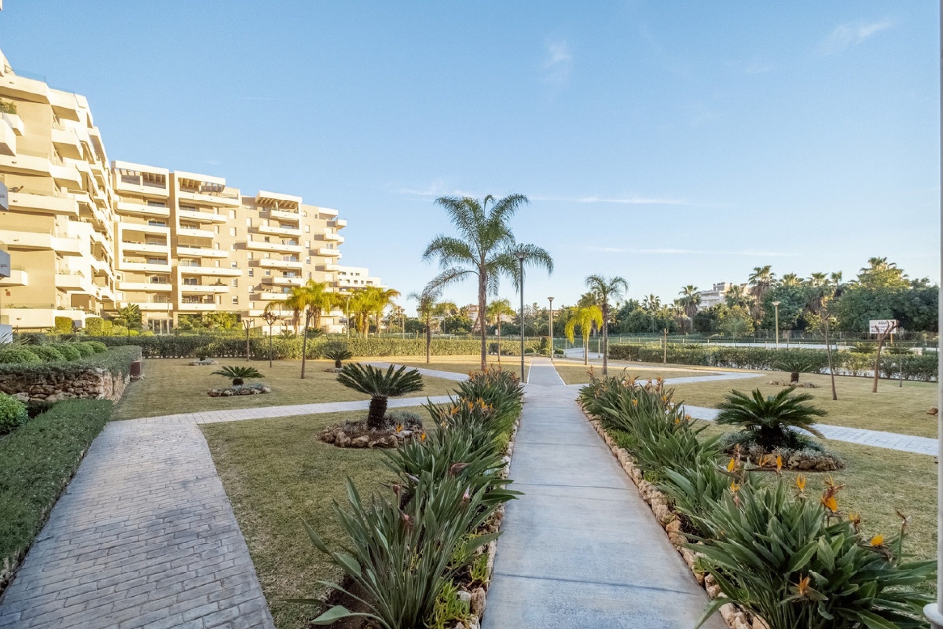 Rynek wtórny - apartment - Marbella - Nueva Andalucía