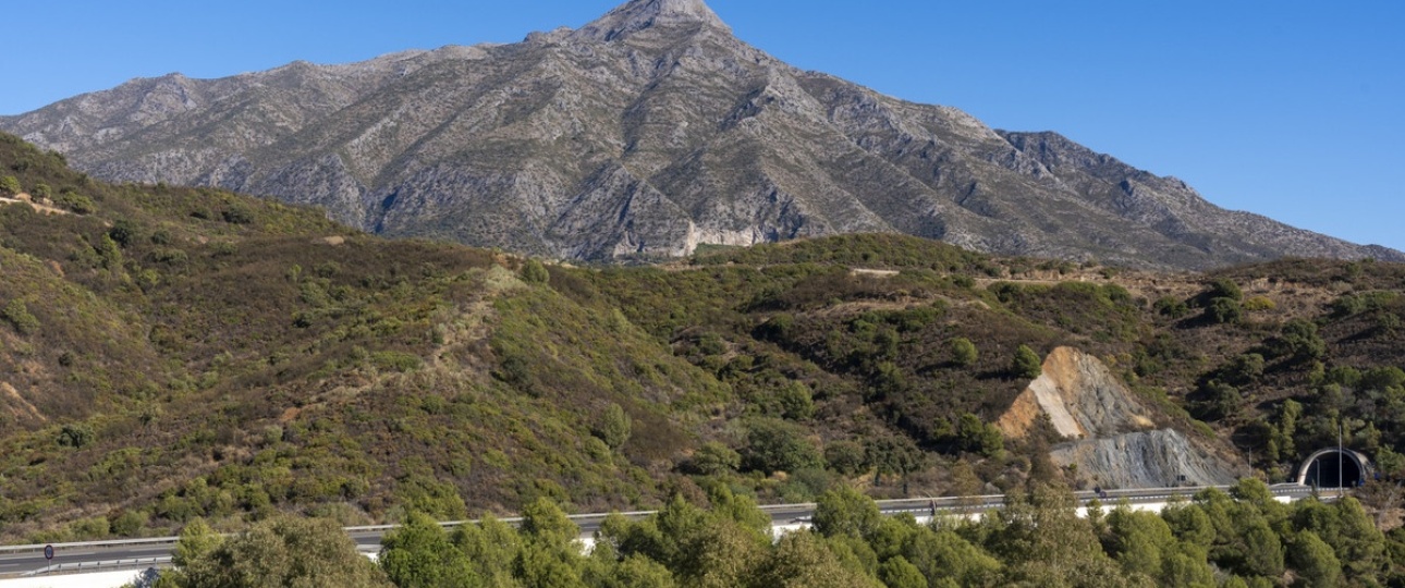 Rynek wtórny - apartment - Marbella - Nueva Andalucía