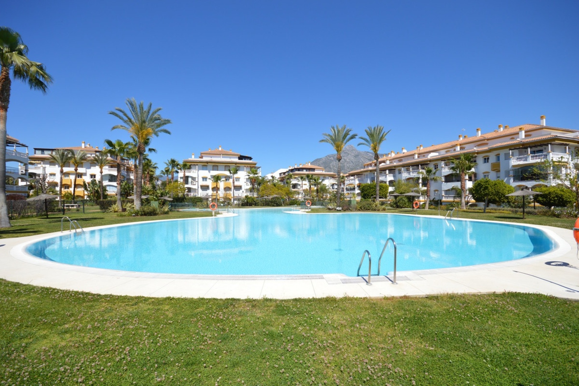 Rynek wtórny - apartment - Marbella - Nueva Andalucía