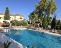 Rynek wtórny - apartment - Marbella - Nueva Andalucía