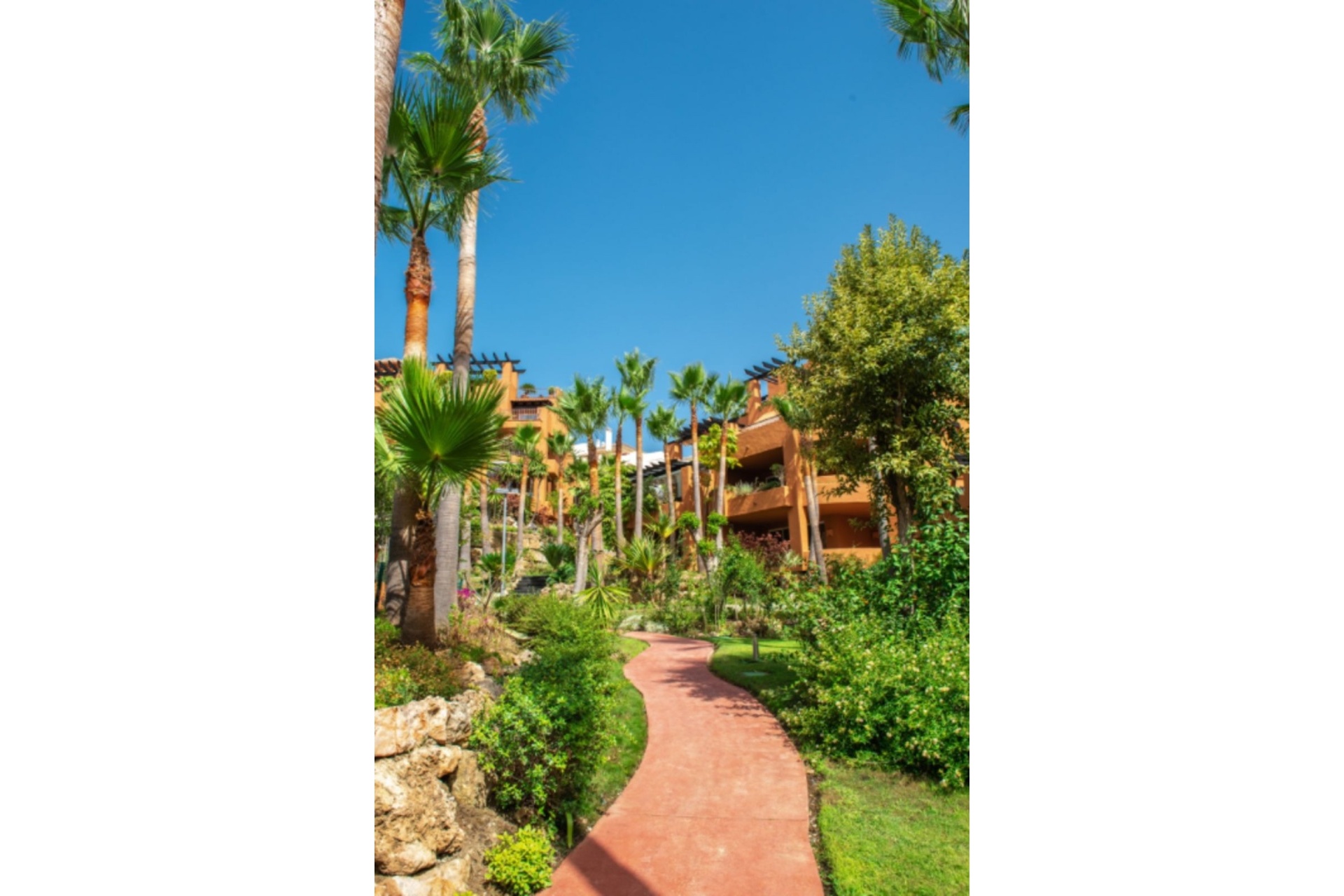 Rynek wtórny - apartment - Marbella - Nueva Andalucía